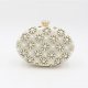 Women's Crystal Polyester Evening Bag Floral Print Champagne